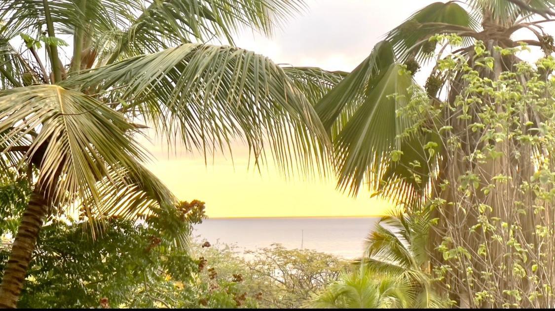 Location Gite Bungalow A 70M De La Plage Bouillante Ngoại thất bức ảnh