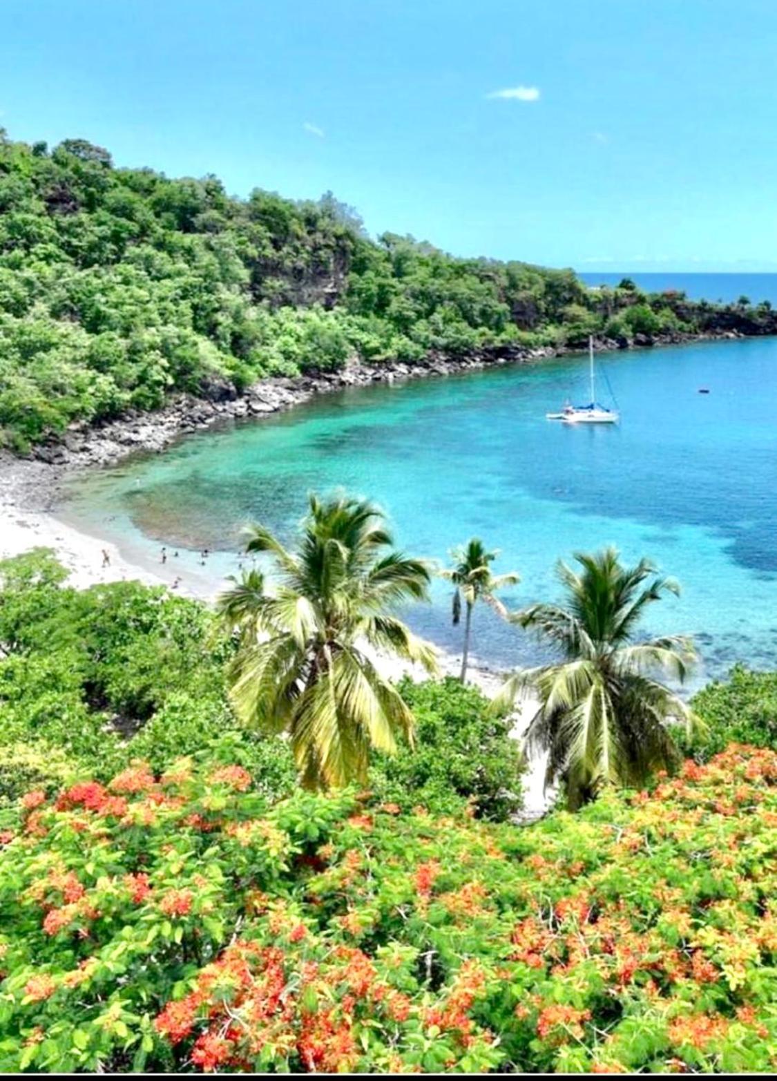 Location Gite Bungalow A 70M De La Plage Bouillante Ngoại thất bức ảnh